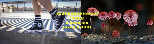 бошки Рославль