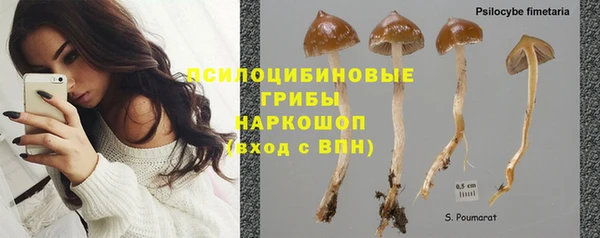 прущая мука Россошь