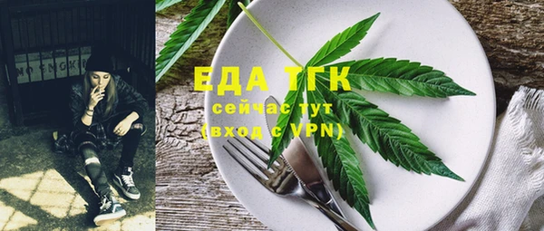 СК Балахна
