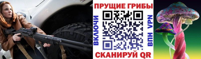 Псилоцибиновые грибы Cubensis  закладка  MEGA как зайти  Лесосибирск 
